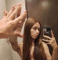 Shdrhn - Transsexual escort in Manila