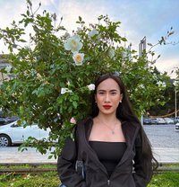 ᴄʜᴇʀʀʏ ᶜʰᵒᶜᵒˡᵃᵗᵉ ᴰⁱᶜᵏ ᵃⁿᵈ 🆃🅾🅿 - Transsexual escort in Jeddah
