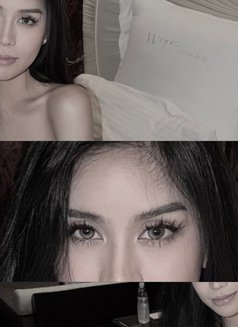 She’s Ms. Kim🇪🇸 - puta in Seoul Photo 8 of 17