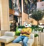 Shedy - Acompañantes masculino in Dubai Photo 1 of 1