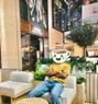 Shedy - Acompañantes masculino in Dubai Photo 1 of 1
