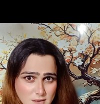Sheeza Butt - Transsexual escort in Islamabad