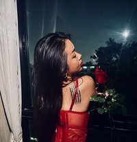 Shefucker Alicia TRANSSEXUAL - Acompañantes transexual in Amsterdam