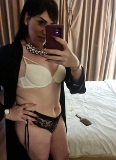SheikhaTurkish Aussie - Transsexual escort in New Delhi Photo 9 of 13