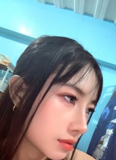 Shane Tight pussy - escort in Taipei Photo 3 of 7