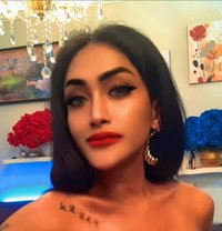 Shellaxiao - Acompañantes transexual in Jakarta