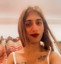 Shelza Harnaz - Acompañantes transexual in Lucknow
