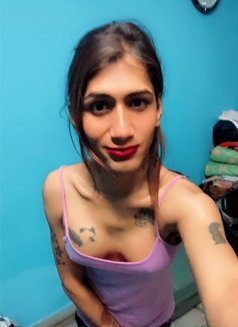 Shelza Naaz - Acompañantes transexual in Chandigarh Photo 1 of 13