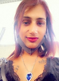 Shelza Naaz - Acompañantes transexual in Chandigarh Photo 8 of 9