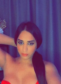 Shemail Ggc - Transsexual escort in Al Manama Photo 12 of 24
