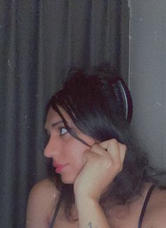 Shemail Ggc - Transsexual escort in Al Manama Photo 16 of 24