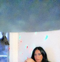 Shemail Ggc - Transsexual escort in Al Manama