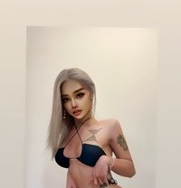 Shemale Alice - Acompañantes transexual in Kuala Lumpur