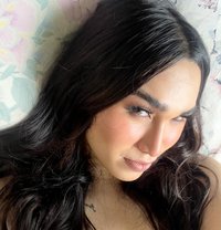 Shemale Babe - Acompañantes transexual in Singapore