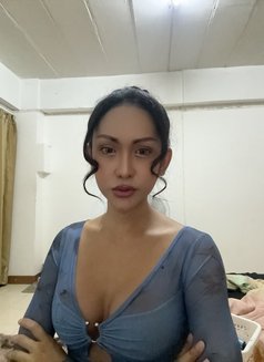 Shemale Barbie - Transsexual escort in Bangkok Photo 3 of 4