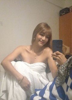 Shemale Bellababes - Transsexual escort in Manila Photo 6 of 6