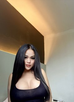 Shemale big dick - Transsexual escort in Jakarta Photo 12 of 16