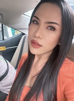 🇹🇭Shemale Big Cock Big Cum🇹🇭 - Transsexual escort in Bangkok Photo 5 of 18