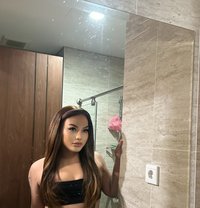 Shemale Big D Bali - Transsexual escort in Bali