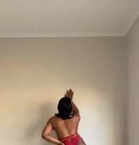 Shemale Brooklyn - Transsexual escort in Johannesburg