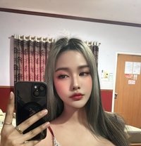 Shemale Hunny Bunny - Acompañantes transexual in Pattaya