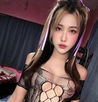 Shemale Hunny Bunny - Acompañantes transexual in Pattaya