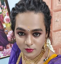 Shemale Chennai - Transsexual escort in Chennai