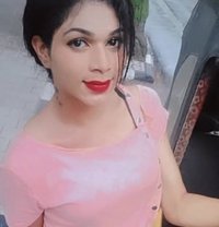 Shemale Chennai Sweety - Transsexual escort in Chennai