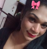 Shemale Chennai Sweety - Transsexual escort in Chennai