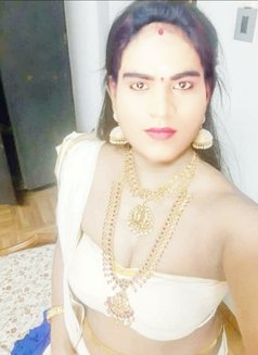 Shemale Chennai Vadapalni - Acompañantes transexual in Chennai Photo 3 of 3