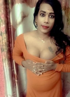 Shemale (Cock N Boobs ) BUDGET FRIENDLY - Transsexual escort in Chennai Photo 16 of 27