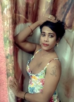 Shemale (Cock N Boobs ) BUDGET FRIENDLY - Transsexual escort in Chennai Photo 27 of 27