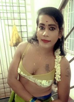 Shemale (Cock N Boobs ) BUDGET FRIENDLY - Acompañantes transexual in Chennai Photo 6 of 14
