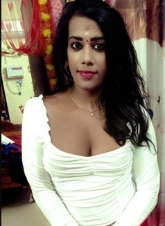 Shemale (Cock N Boobs ) BUDGET FRIENDLY - Transsexual escort in Chennai Photo 11 of 27