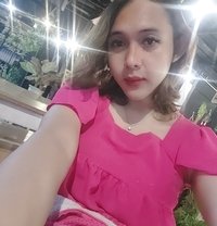 Shemale Dianar96 - Transsexual escort in Jakarta