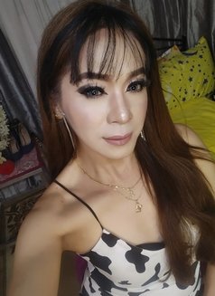 Shemale Kassandra - Transsexual escort in Manila Photo 23 of 29