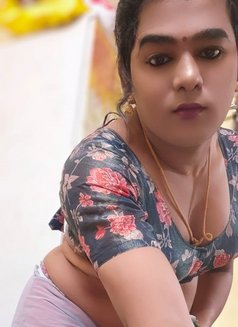Shemale Keerthu Chennai - Transsexual escort in Chennai Photo 2 of 5