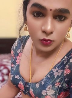 Shemale Keerthu Chennai - Transsexual escort in Chennai Photo 3 of 5