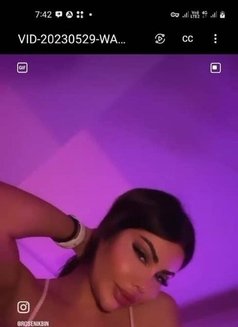 Shemale Kiki Barbie xxl شيميل كيكي - Acompañantes transexual in İstanbul Photo 27 of 30
