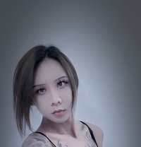 Shemale Madiman - Transsexual escort in Beijing