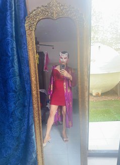 Shemale Nicole BKK5. - Transsexual escort in Dubai Photo 10 of 10