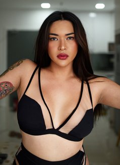 Shemale OLGA / Leaving KL soon - Acompañantes transexual in Kuala Lumpur Photo 26 of 26