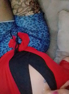 Shemale Riyadh - Transsexual escort in Riyadh Photo 6 of 7