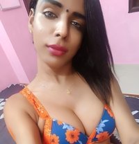 MODERN SHEMALE QUEEN BIG COCK IN CHENNAI - Transsexual escort in Chennai