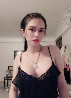 Shemale Thien Thu District 1 Hcm - Acompañantes transexual in Ho Chi Minh City Photo 1 of 5