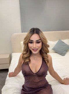 Shemale ,top bottom, both - Acompañantes transexual in Riyadh Photo 8 of 11