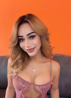 Shemale ,top bottom, both - Acompañantes transexual in Riyadh Photo 1 of 15