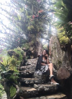 Shemale. Top Kuta Bali Indonesia - Transsexual escort in Bali Photo 3 of 3