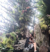 Shemale. Top Kuta Bali Indonesia - Transsexual escort in Bali