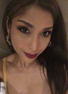 Shemale/ Transsexual/ Ladyboy Tania - Acompañantes transexual in Tokyo Photo 1 of 14